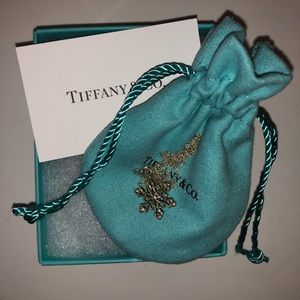 TIFFANY &CO. Snowflake necklace